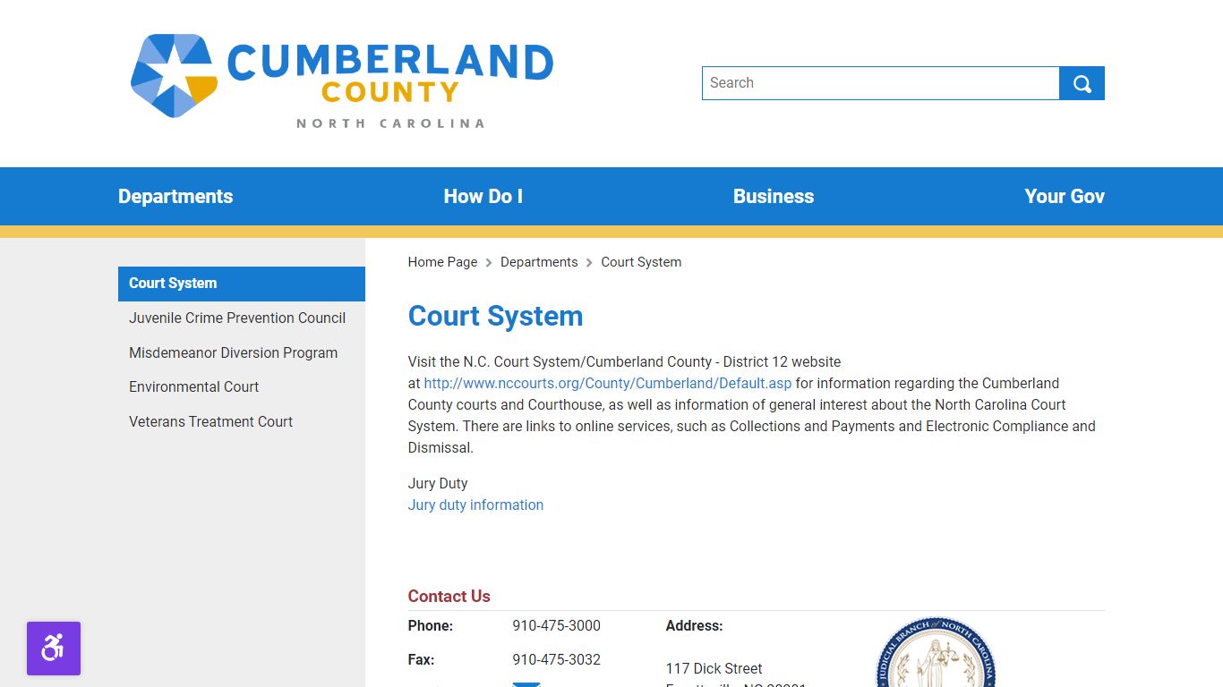 Court System